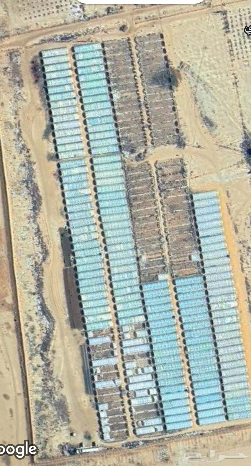 للبيع بيوت محميه مكيفة64431657447425114