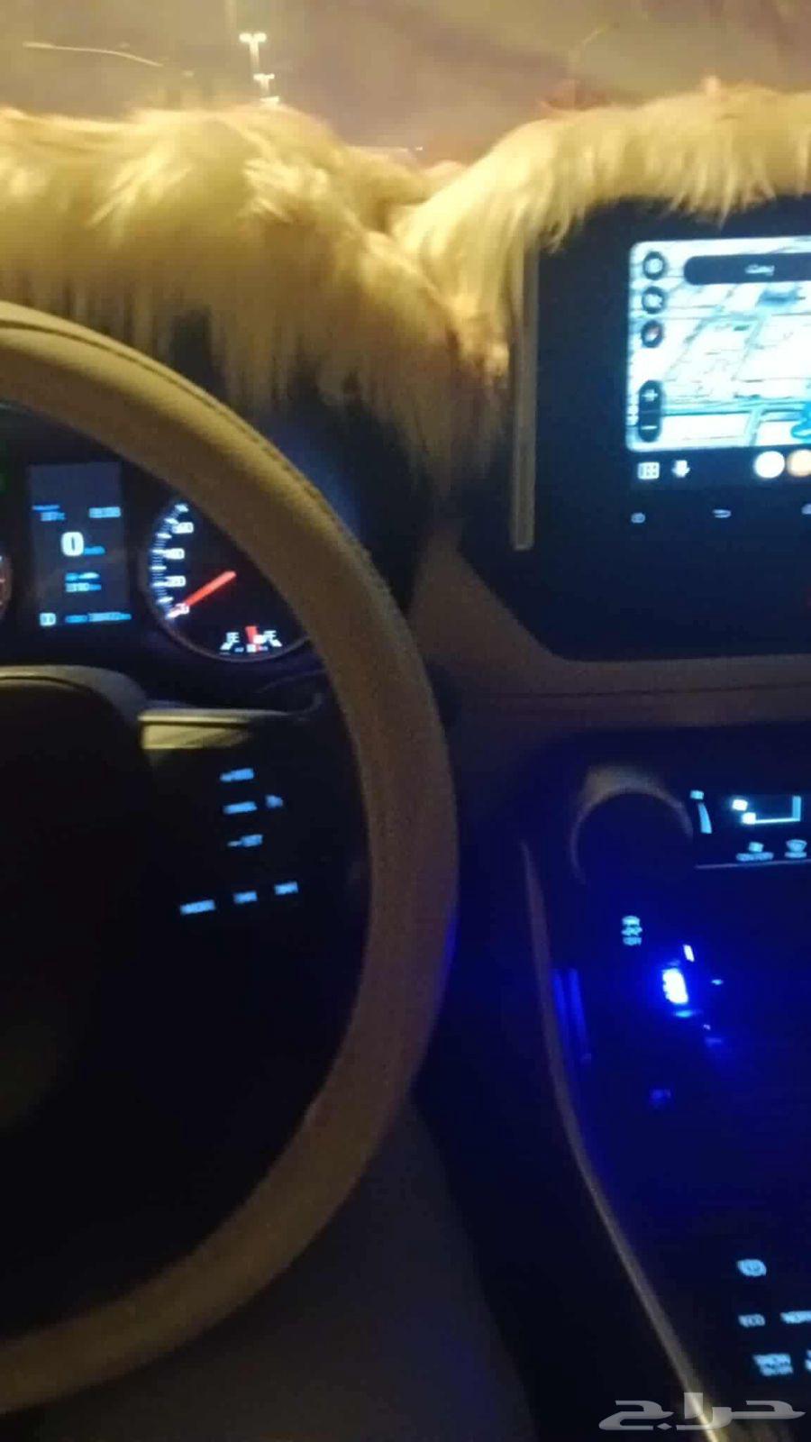 توصيل موظفات شرق وشمال الرياض64270731213826111