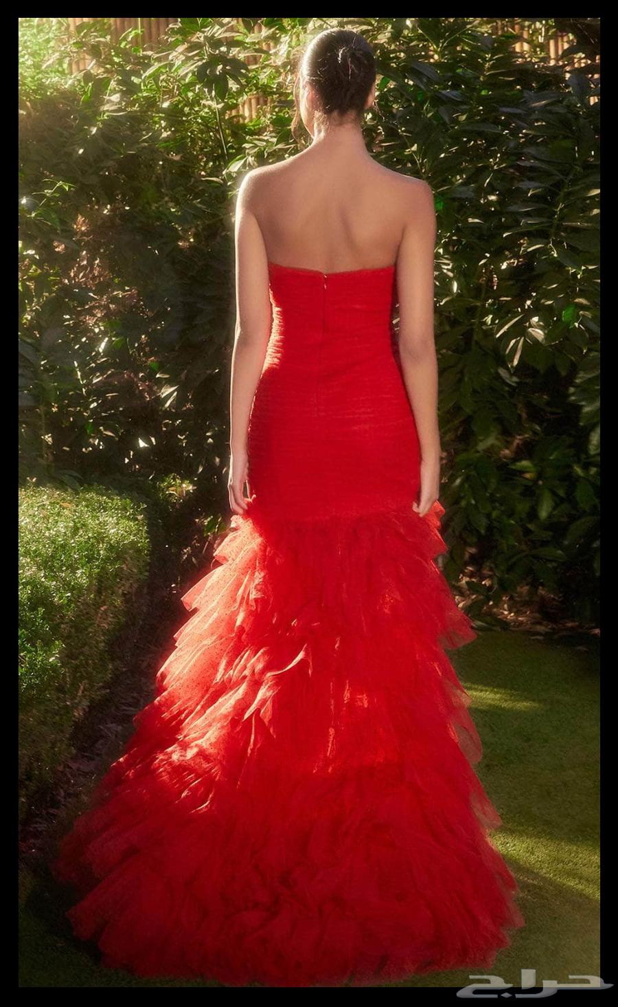 فستان من رياض دريس64433134729474111