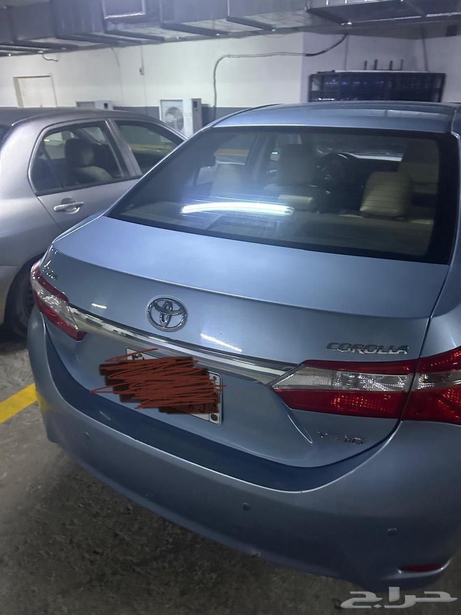 Corolla 201564592371687042114