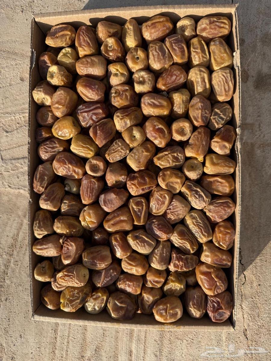 تمر سكري مفتل درجة ثانية انتاج هاذي السنه64428644066562110