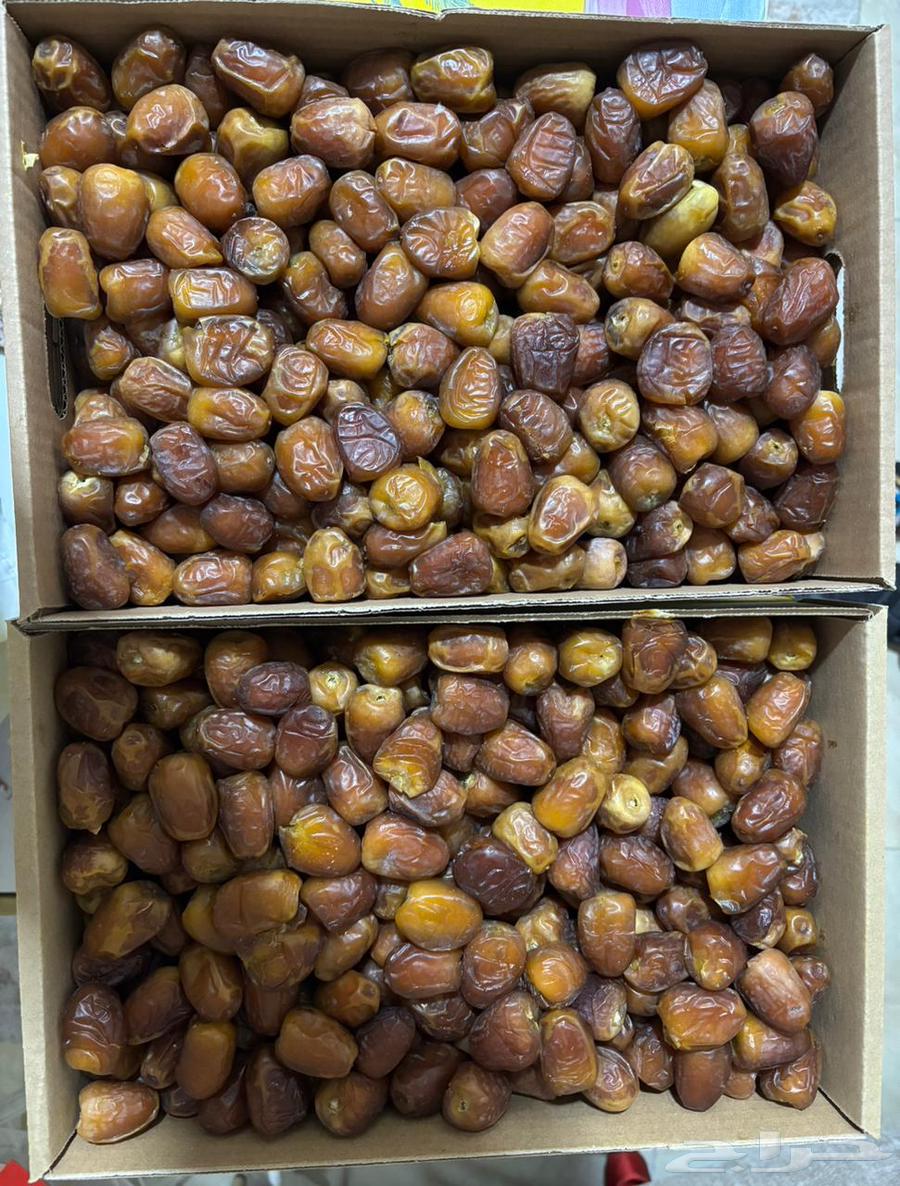 للبيع تمر جالاكسي القصيم تحديدا  بريدة الكمية متوفرة64430368260099110