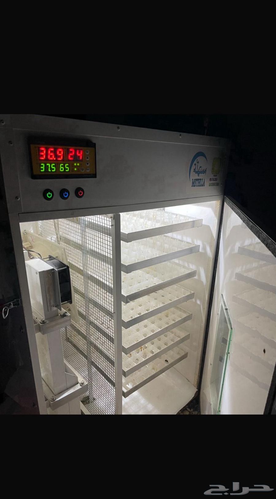 Incubator64430259138690110