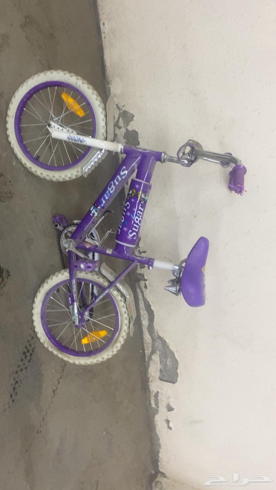 سياكل للبيع64434551369602110