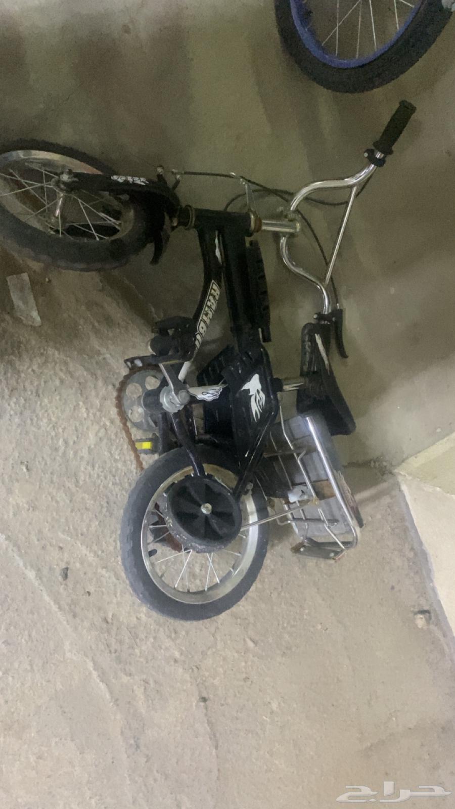 سياكل للبيع64434551369602114