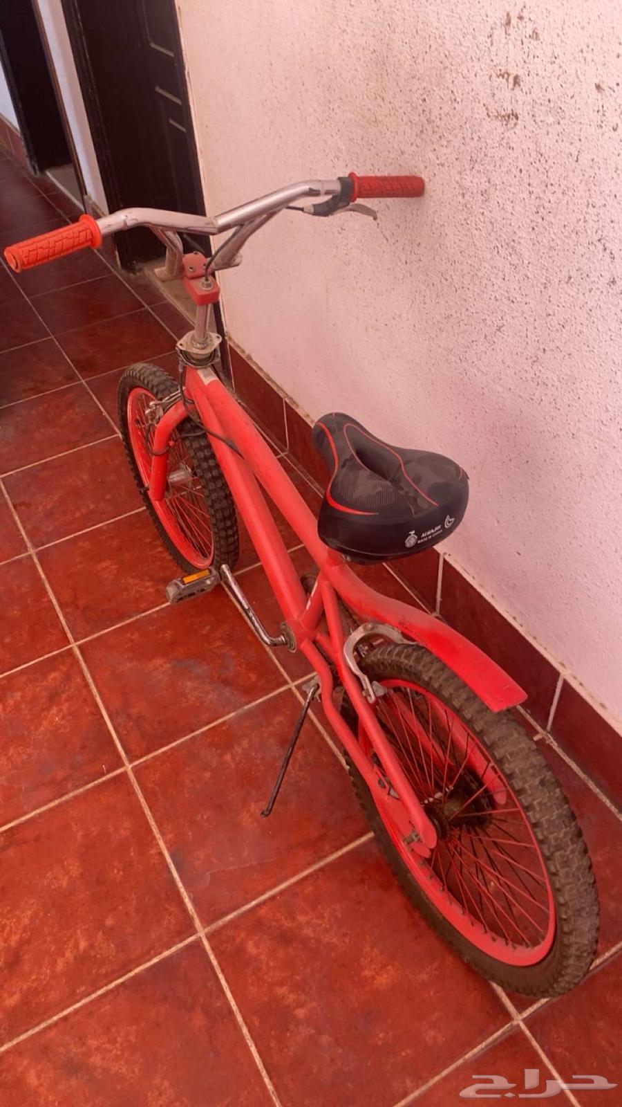 سيكل من النوع كوبرا64439932734338110