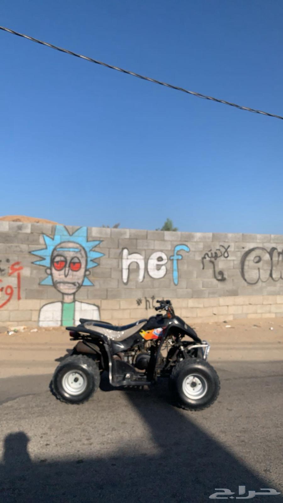 دباب سويدي للبيع مقاس 11064598474450945111