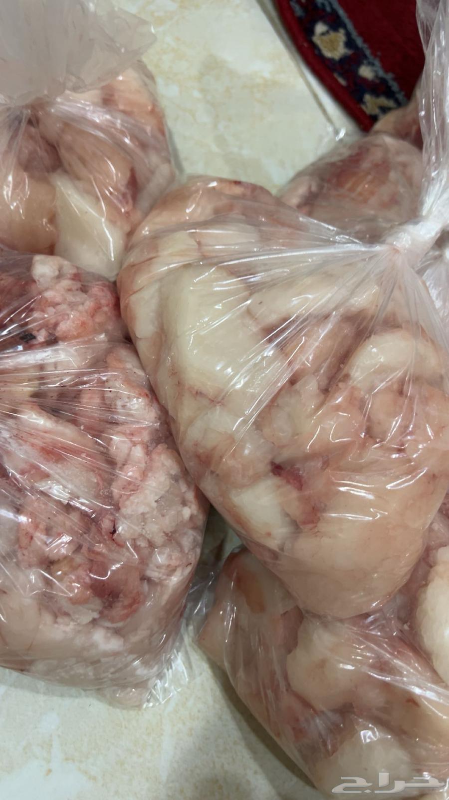 Why lamb and Naimi sheep fat for sale64441841747329111