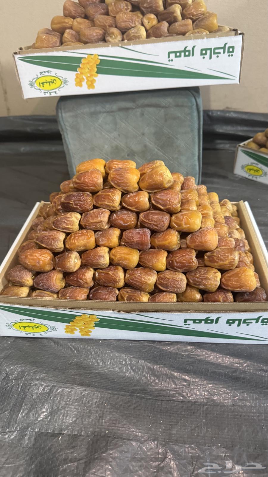 Luxury Galaxy Dates64437369187202110