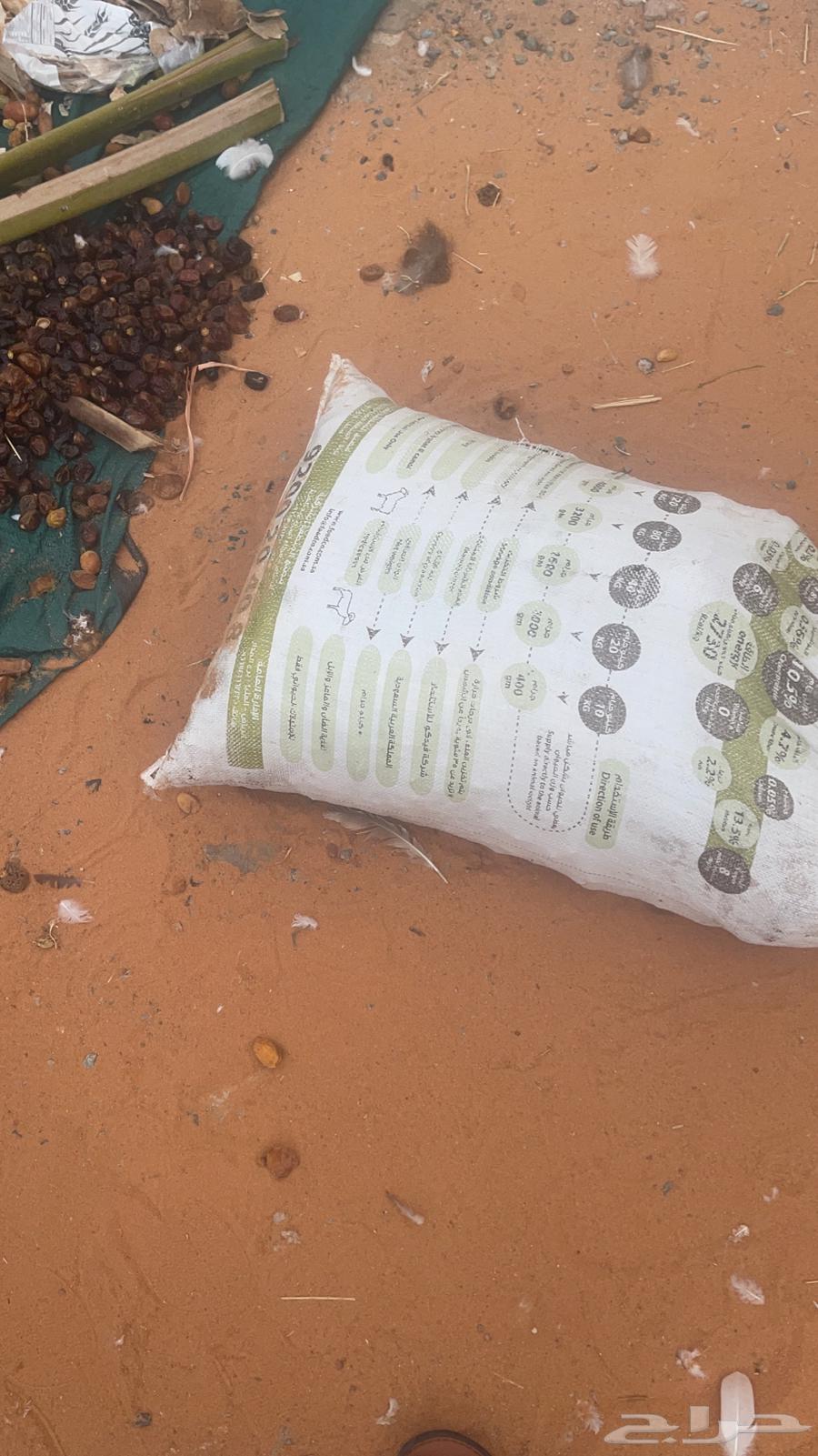 Dates and bread for halal, dry and clean64434510939777110