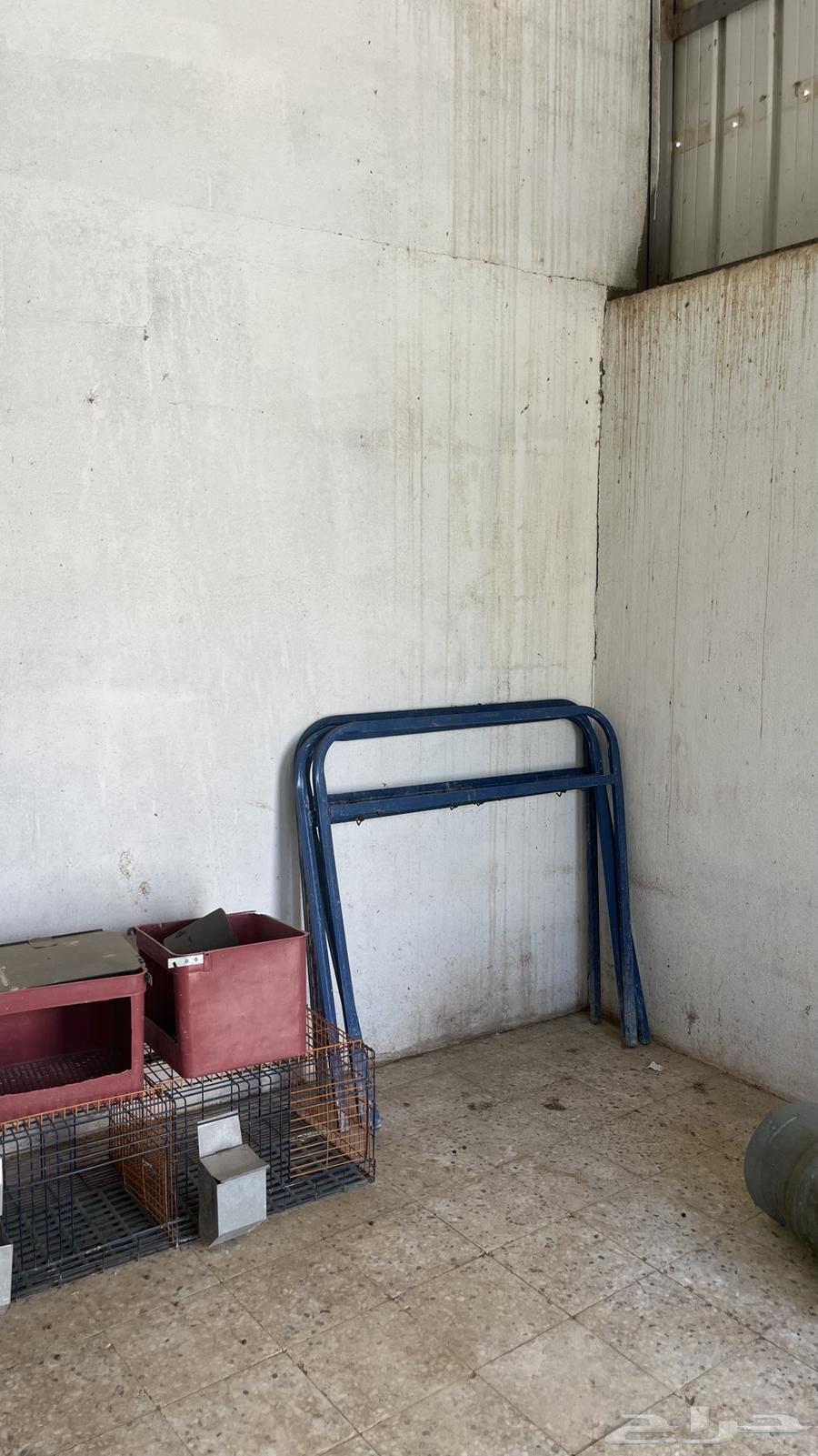 بطاريات ارانب للبيع لا يجي الا الصامل التواصل واتس64436494347906113