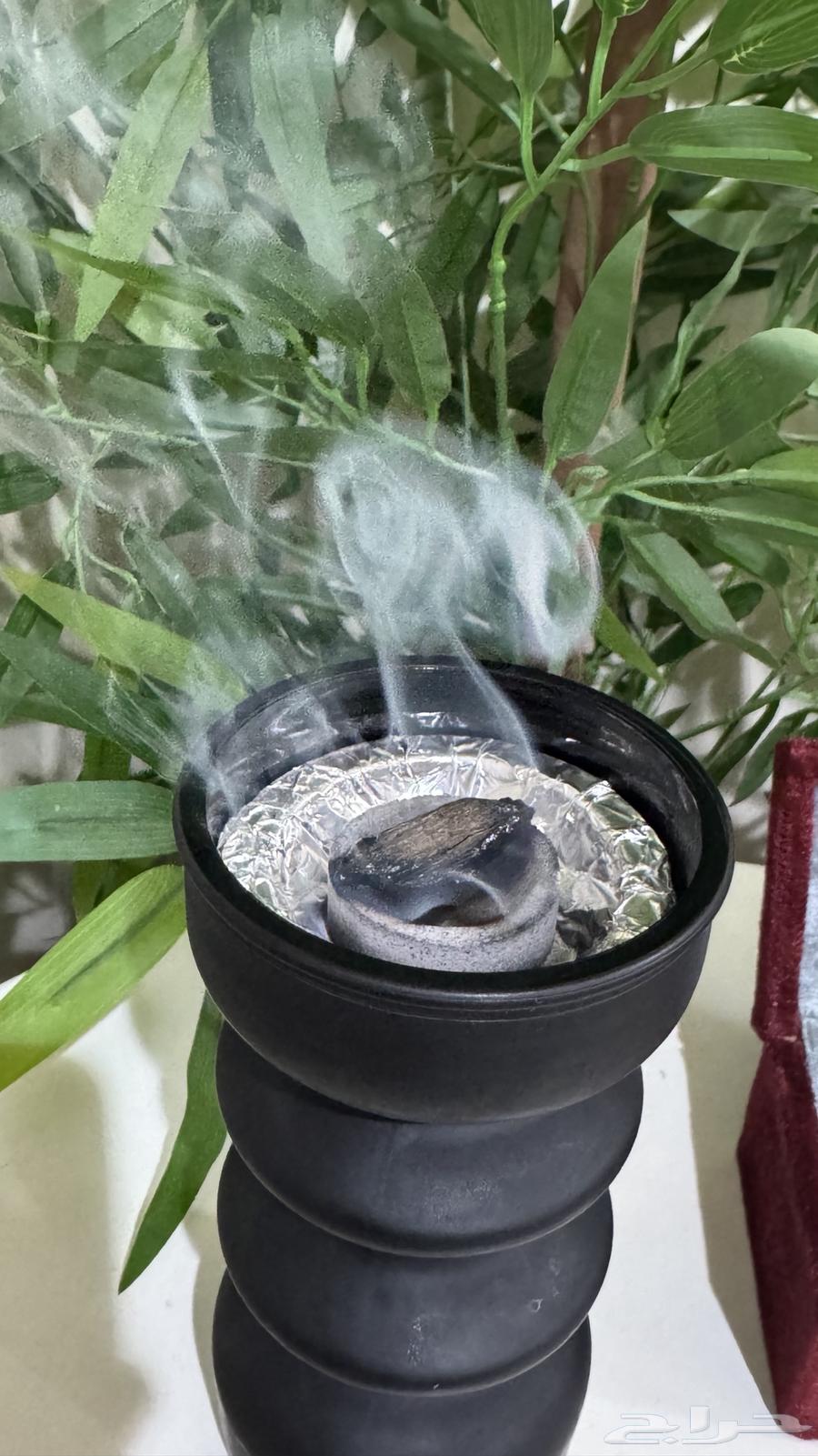 عود تايقر (عرض اليوم الوطني)64435067962115112