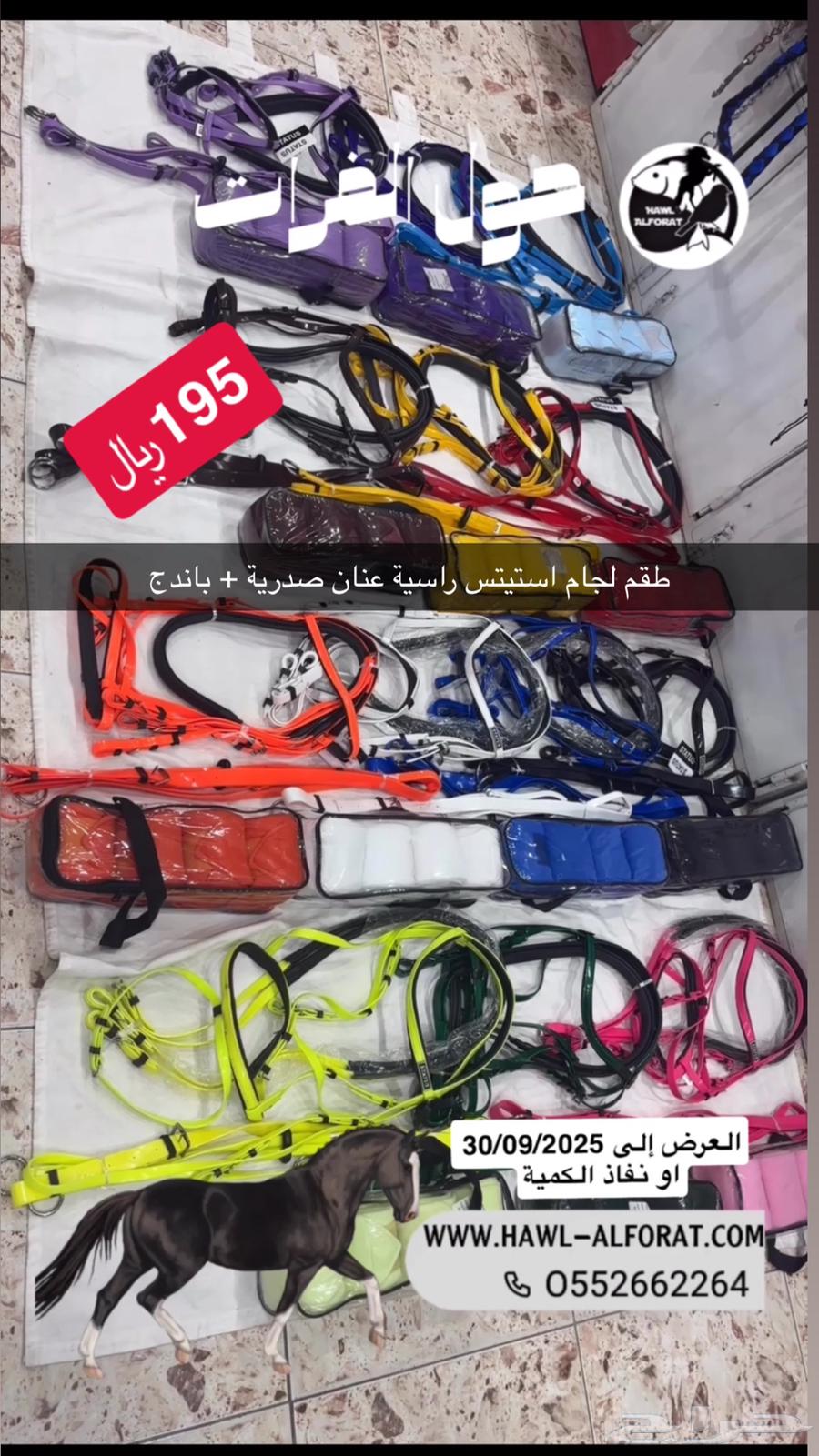 أطقم خيل سرج و ادوات عرض اليوم الوطني64439876977283111