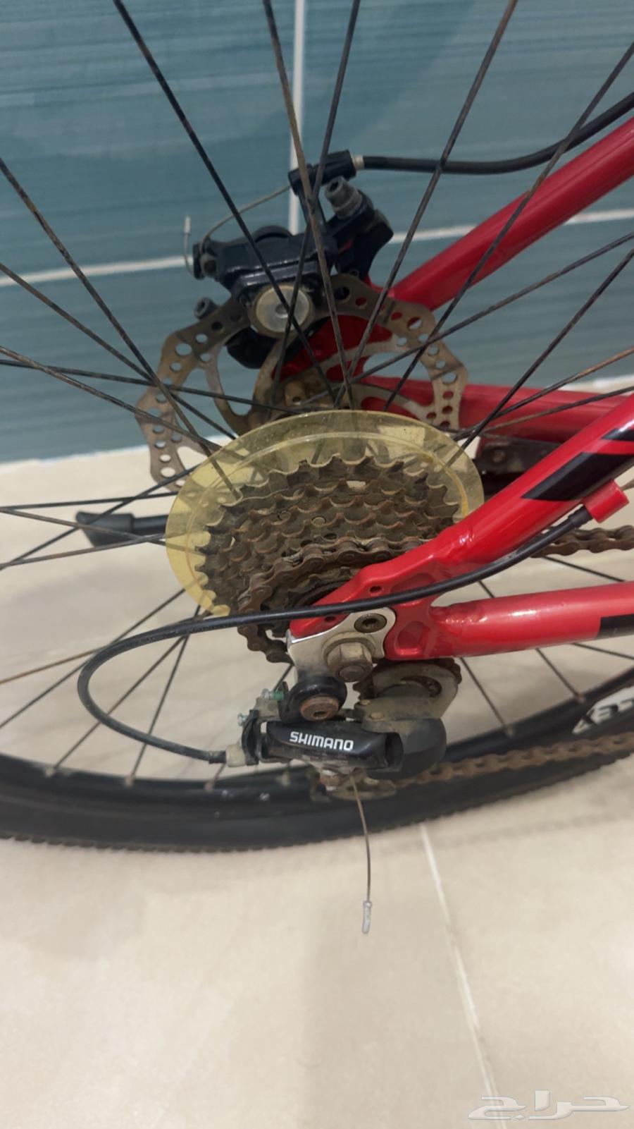 دراجة رياضية64437894765827114