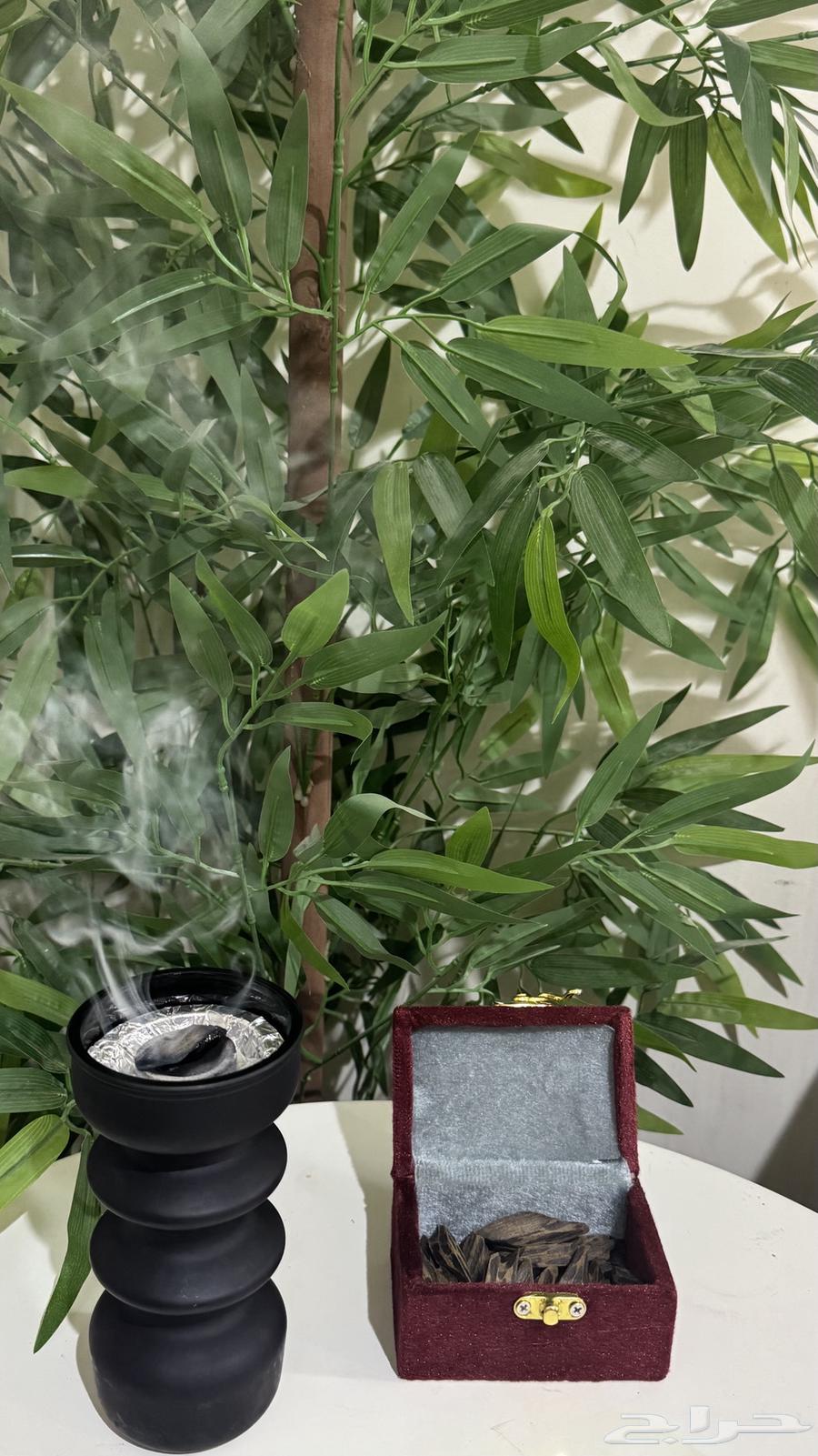 عود تايقر (عرض اليوم الوطني)64435067962115110