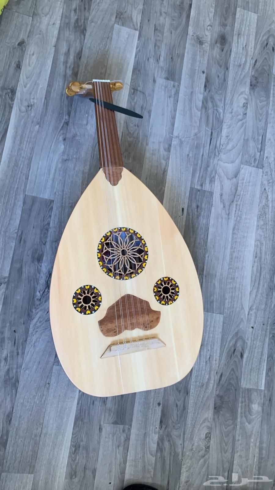 عود للبيع زرياب ومصري64440370114561110