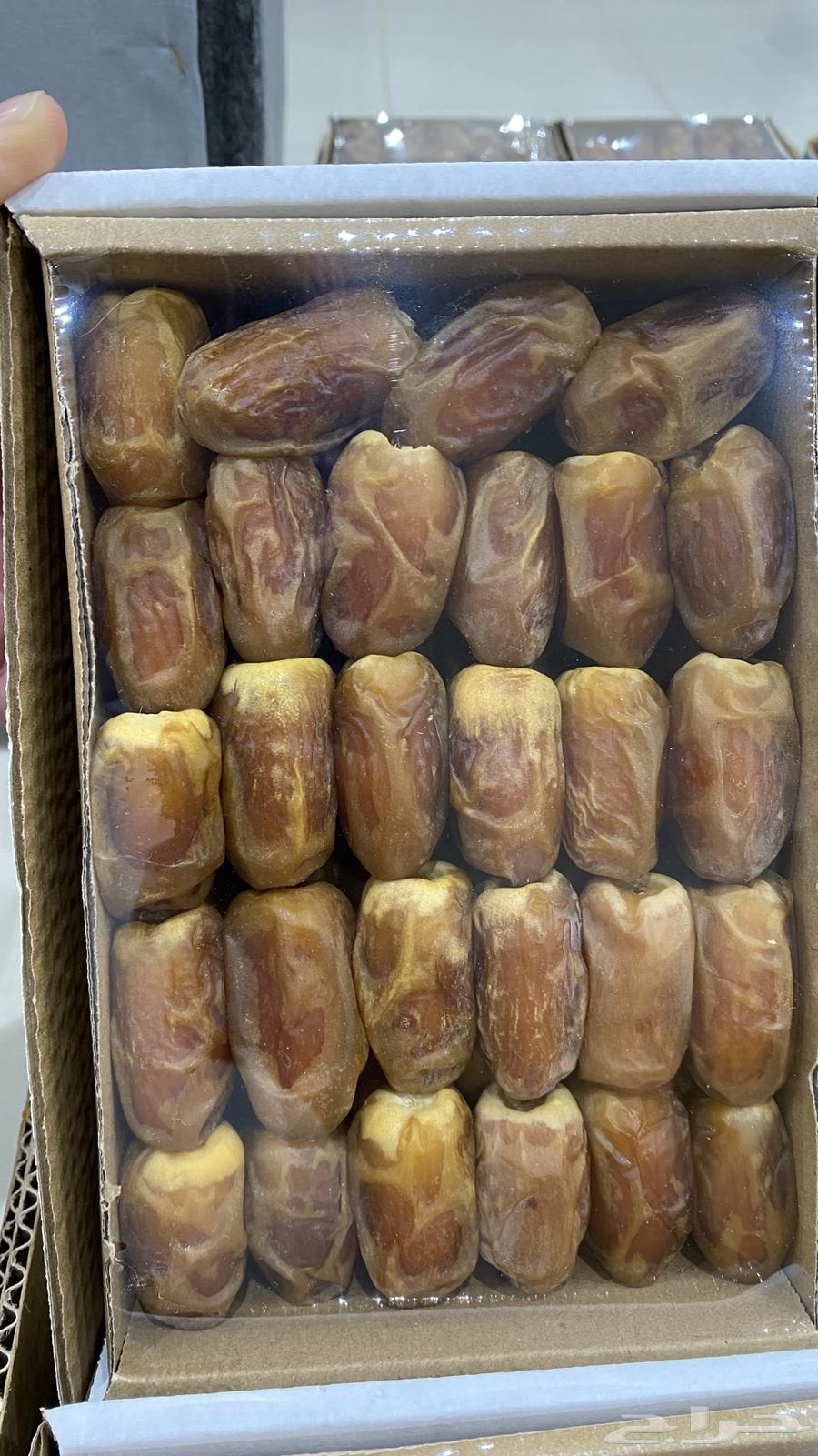 صقعي فاخر64436011305730110