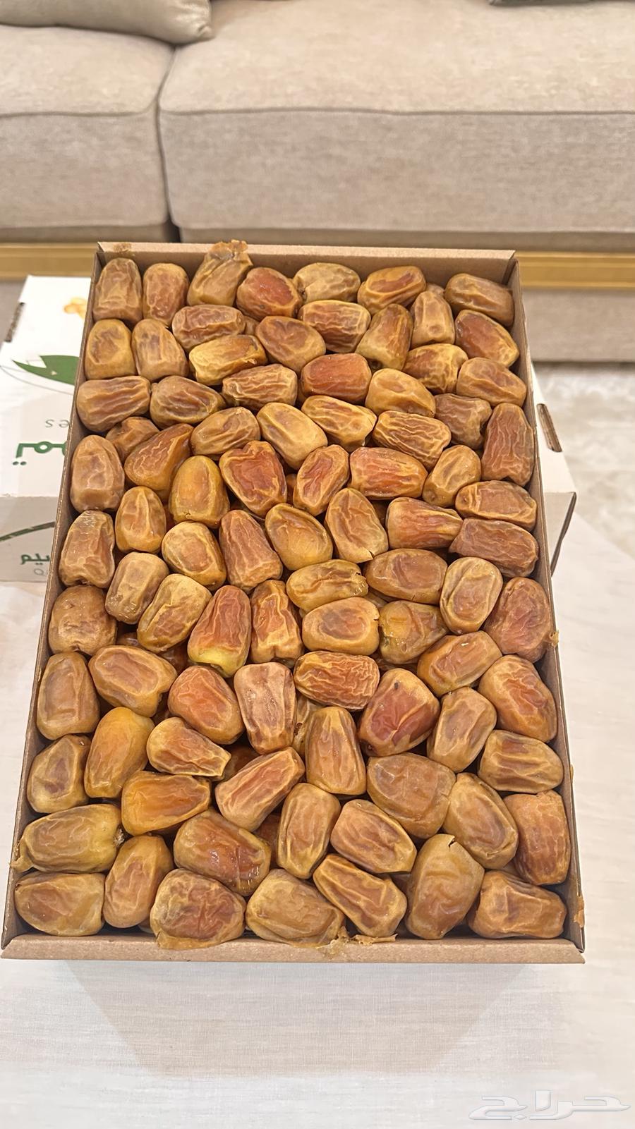 Dates64441979601665110