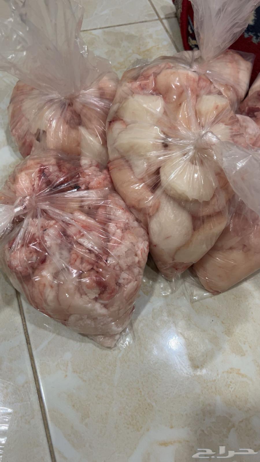 Why lamb and Naimi sheep fat for sale64441841747329110