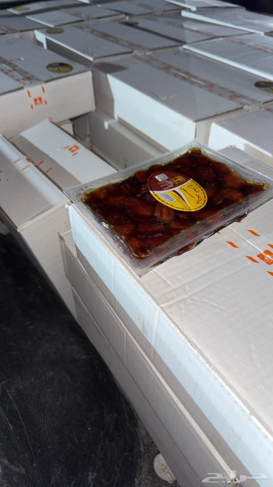 Tamr Kholas Al-Khuruj64439746911745112