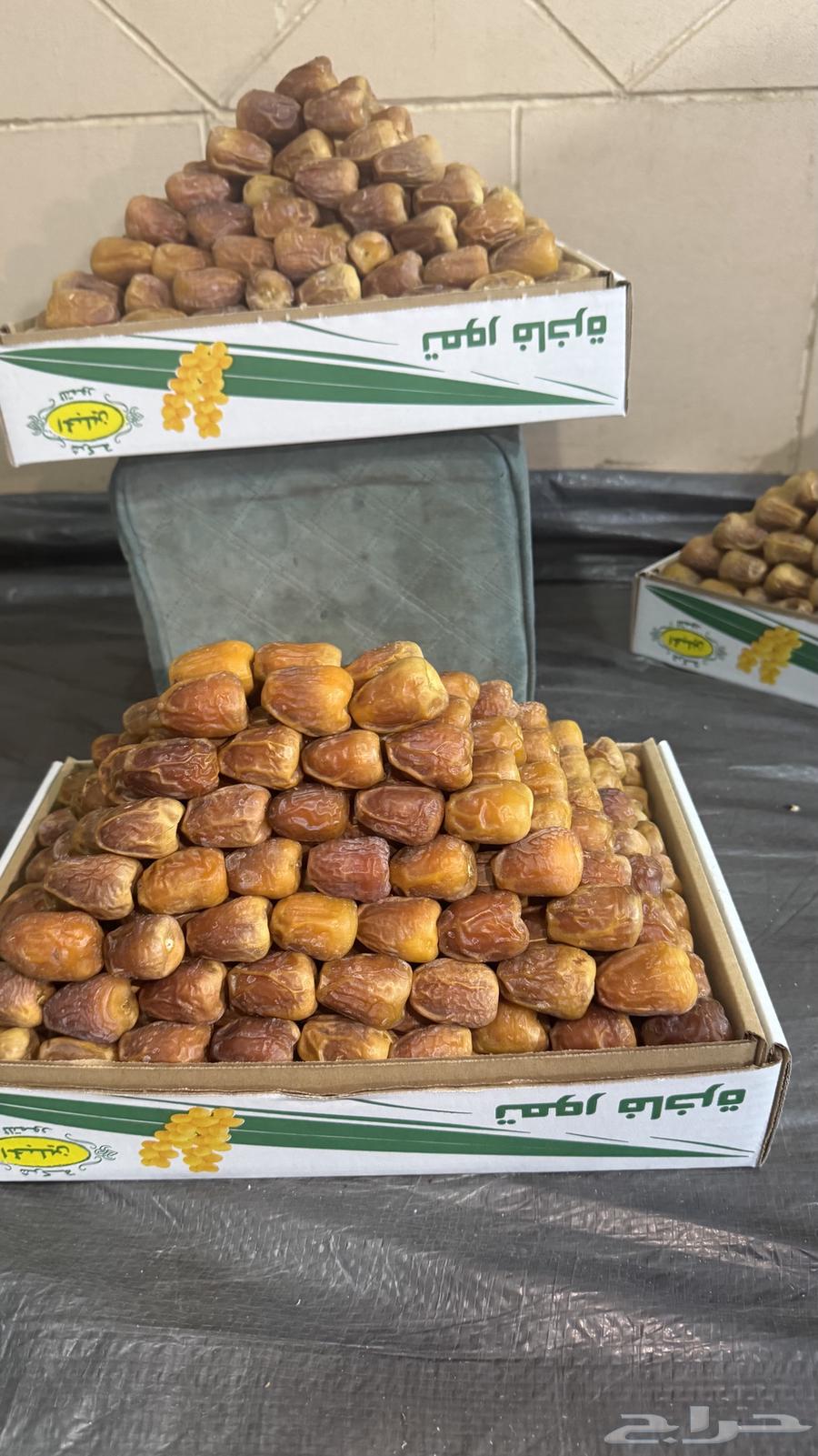 Luxury Galaxy Dates64437369187202111