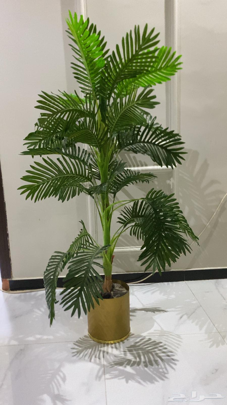 Tree64438672376834110