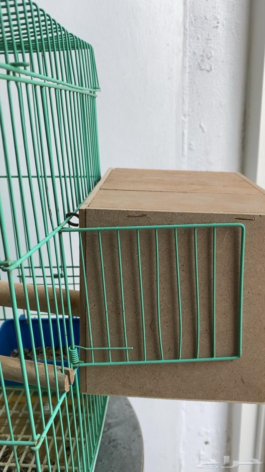 طيور64437881465858111