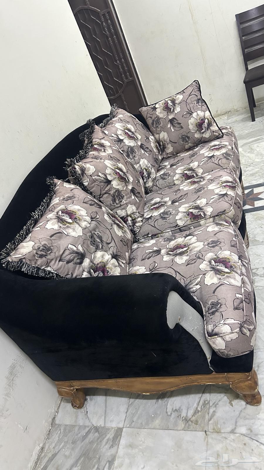 كنب جديدة ونضيف64434822799873112