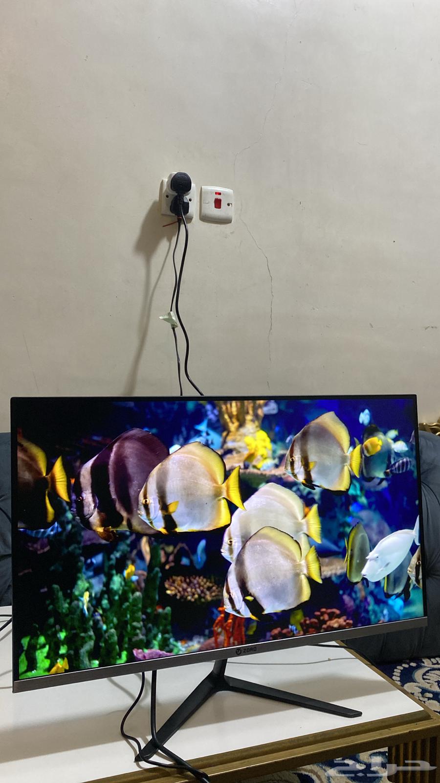 سوني فايف و شاشه 144 هرتز64433966957570112