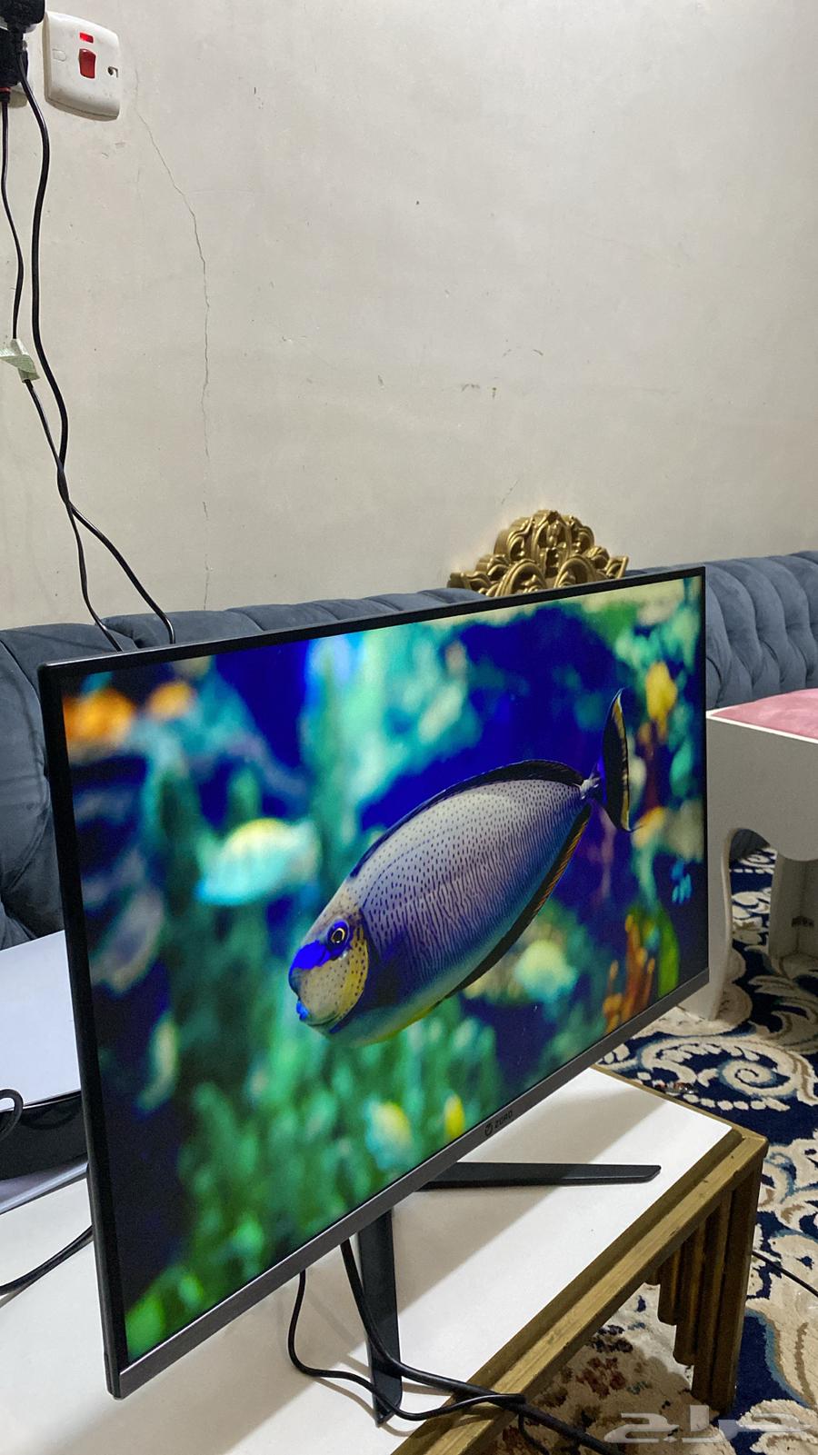 سوني فايف و شاشه 144 هرتز64433966957570111