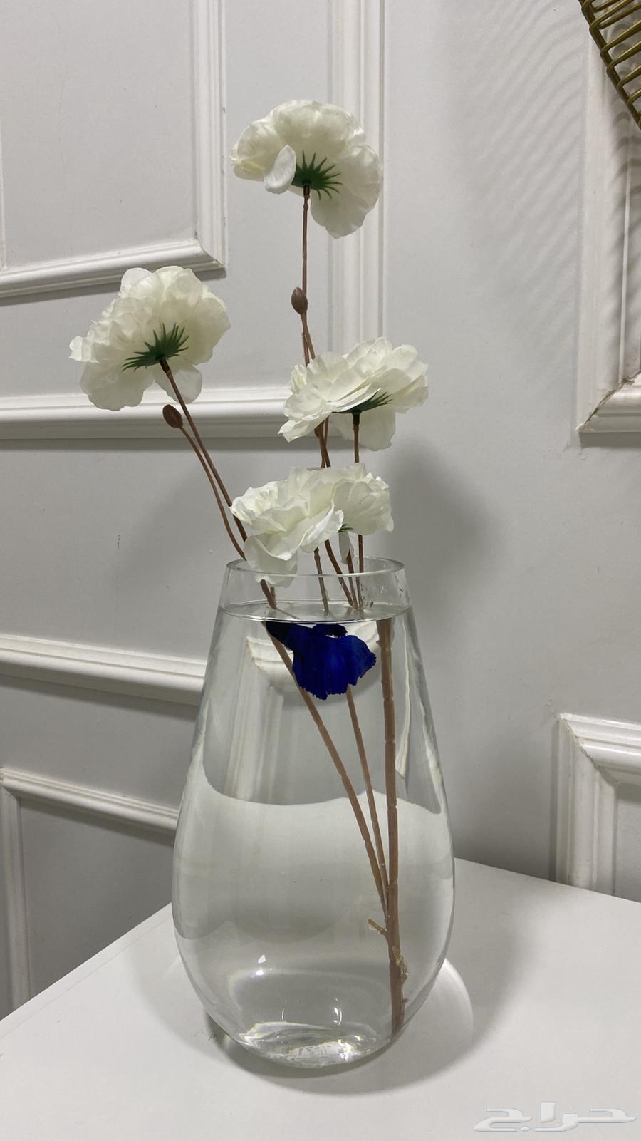 سمك للبيع فايتر فل مون مع الفازات وبدون64440806320899114