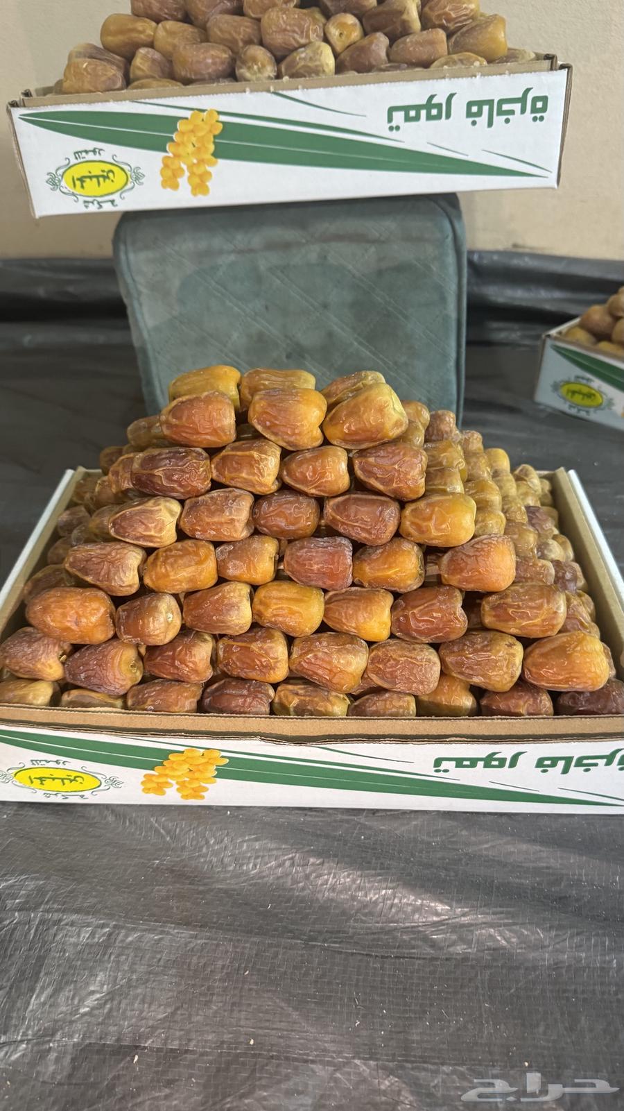 Luxury Galaxy Dates64437369187202112