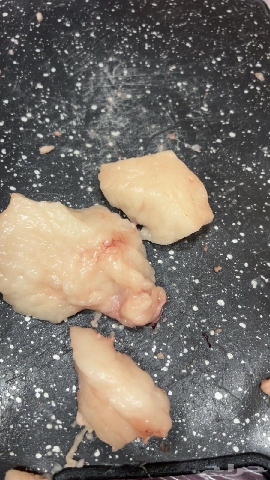 Why lamb and Naimi sheep fat for sale64441841747329112