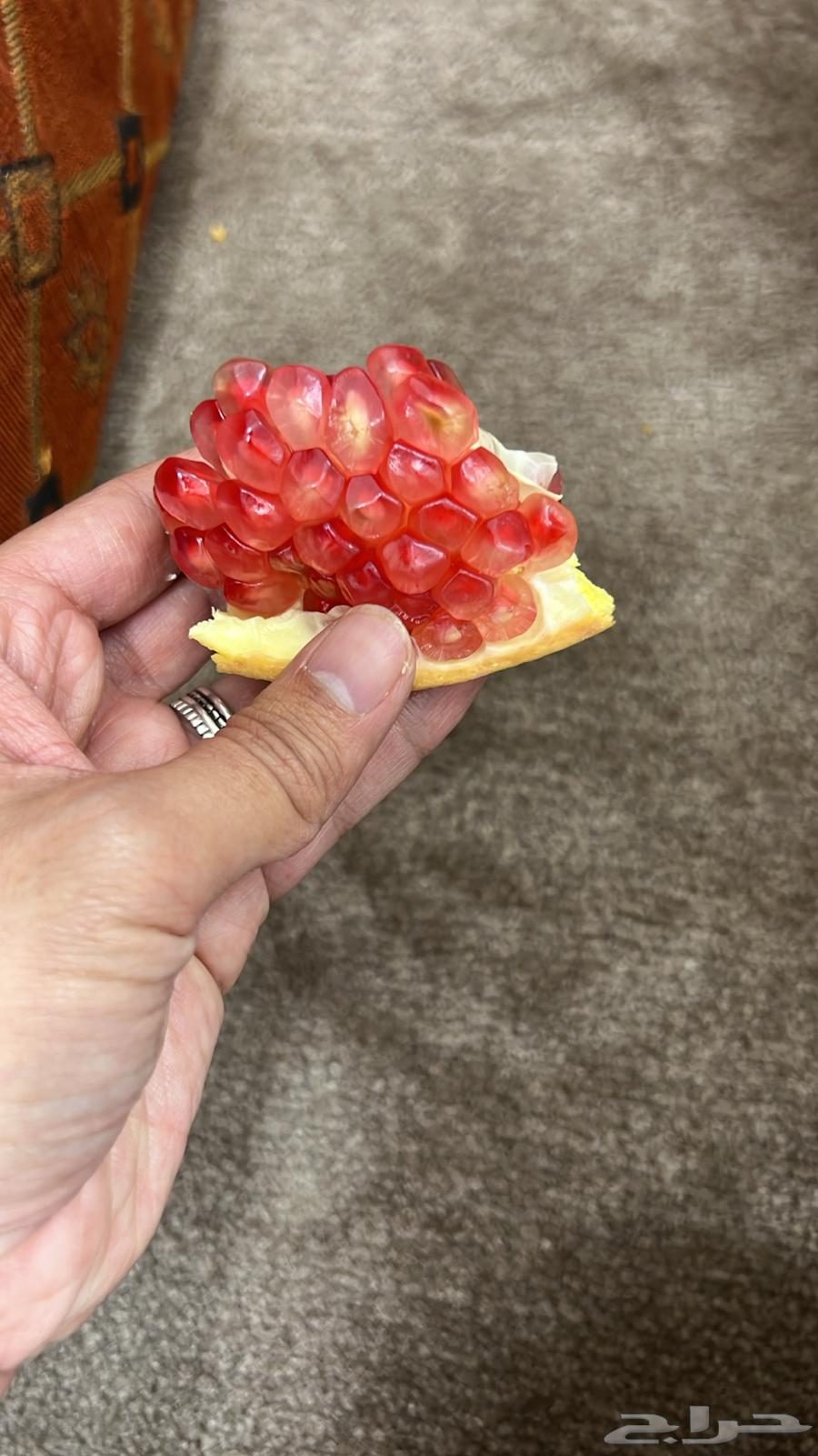 Baha Pomegranate, Luxury Production64437921686147113