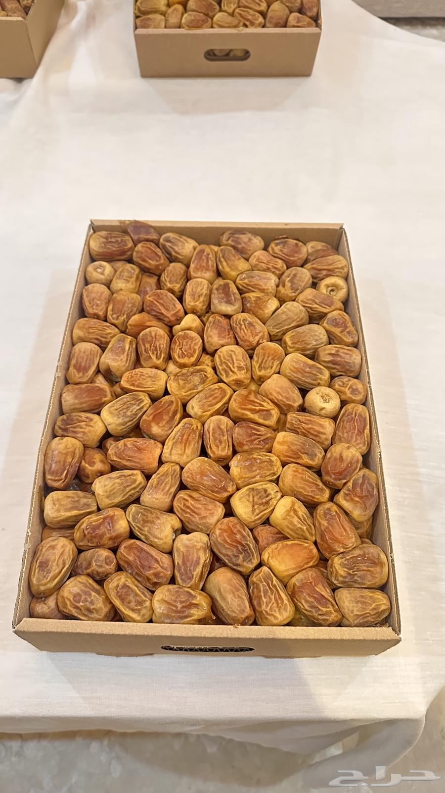 Dates64441979601665111