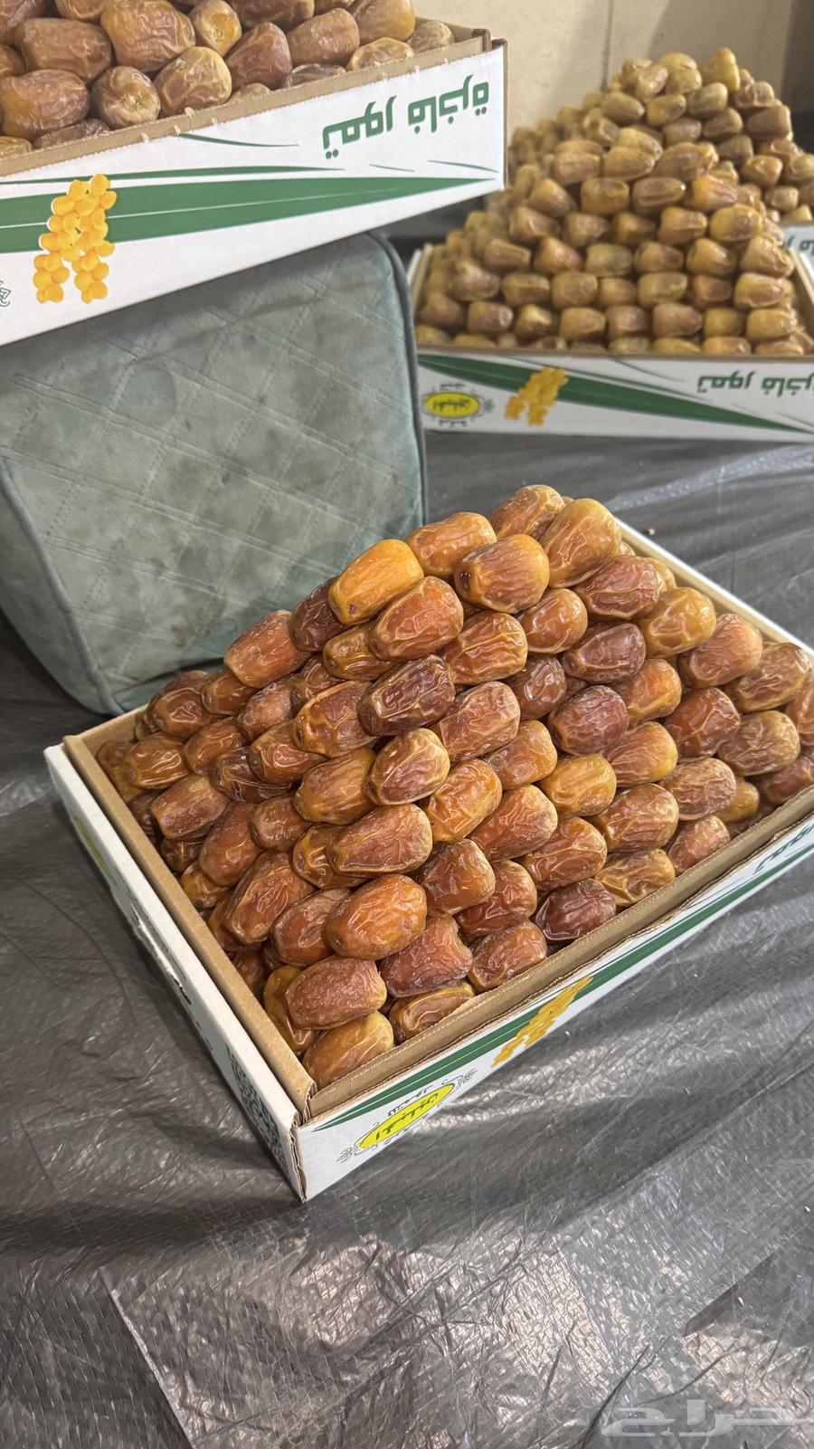 Luxury Galaxy Dates64437369187202113