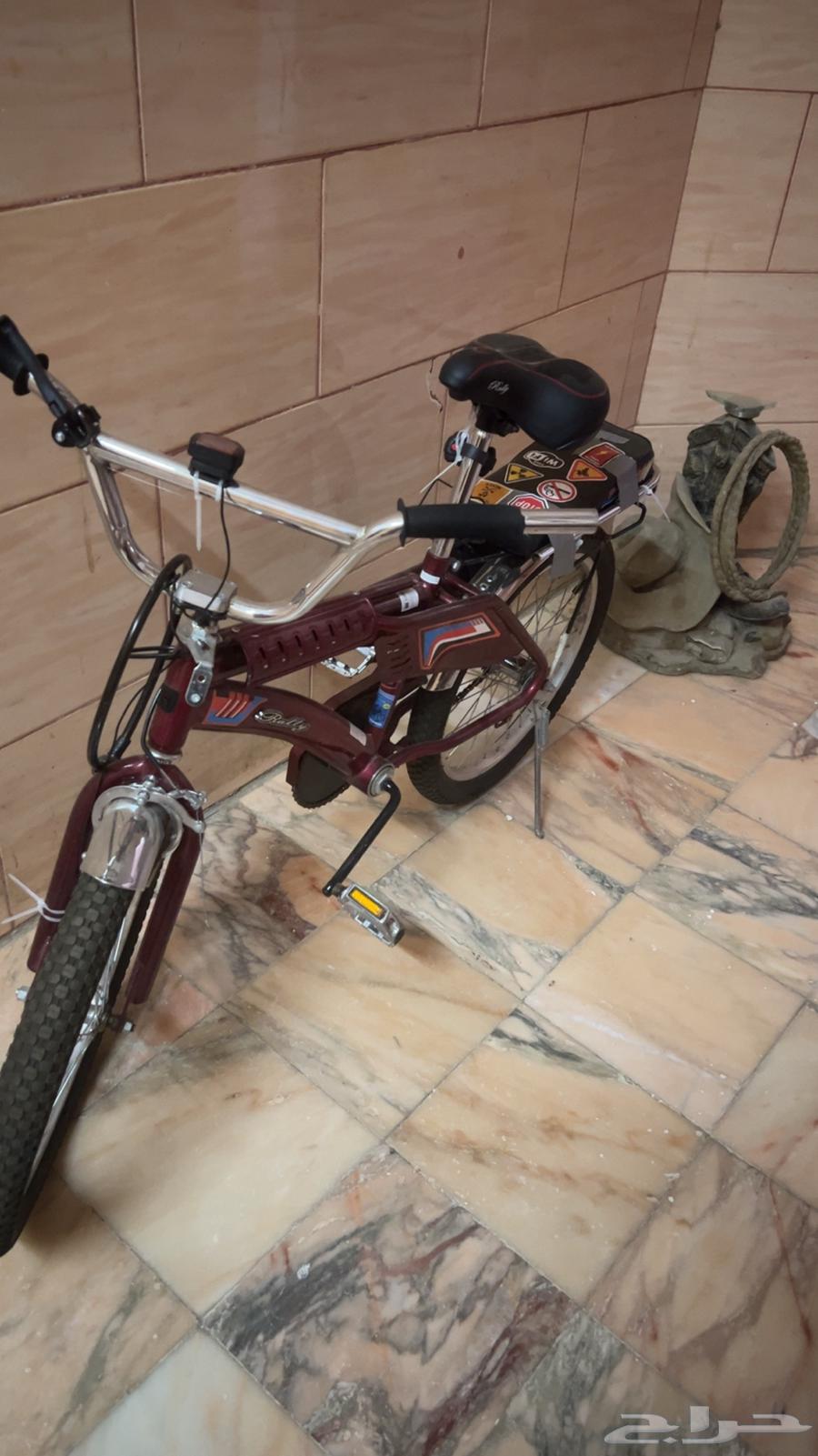 رامبو عنابي مقاس 2064439788651267110