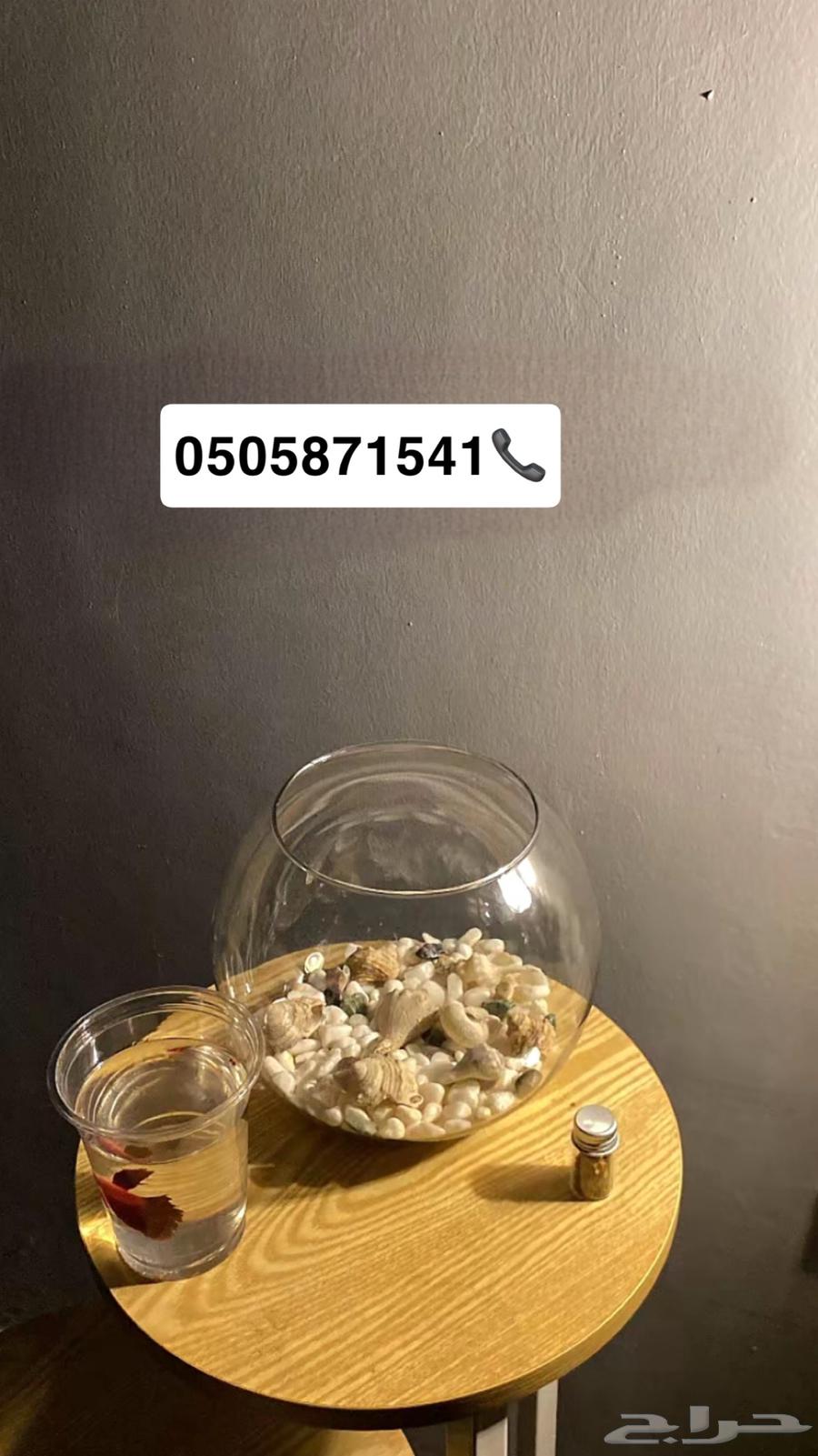 حوض وسمك الفايتر بسعر 45 ريال فقط عرض64441253544193110