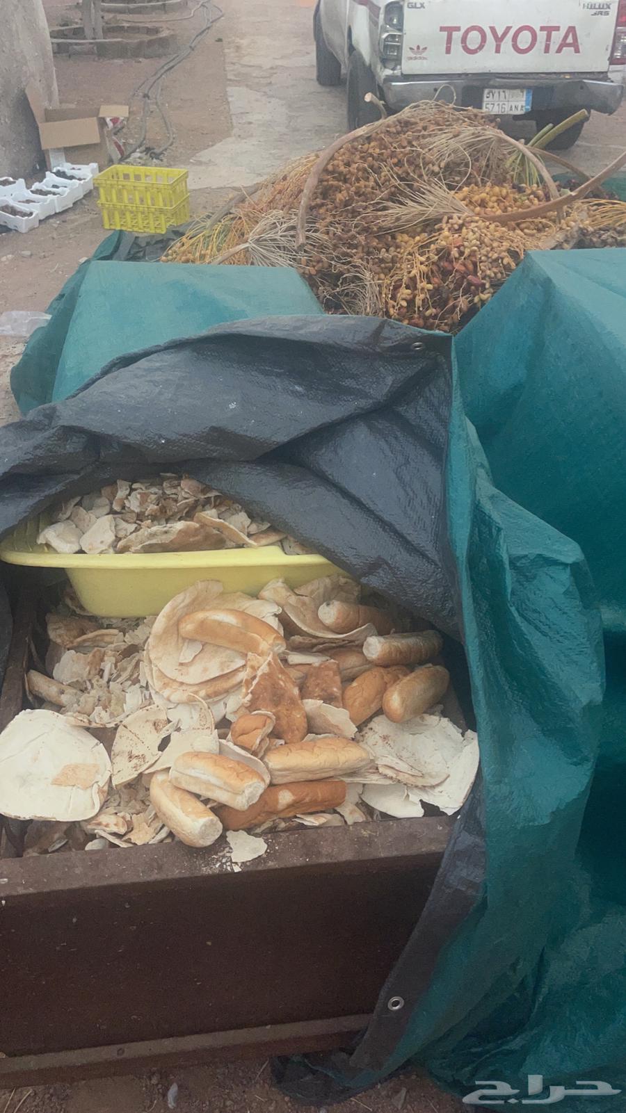 Dates and bread for halal, dry and clean64434510939777111