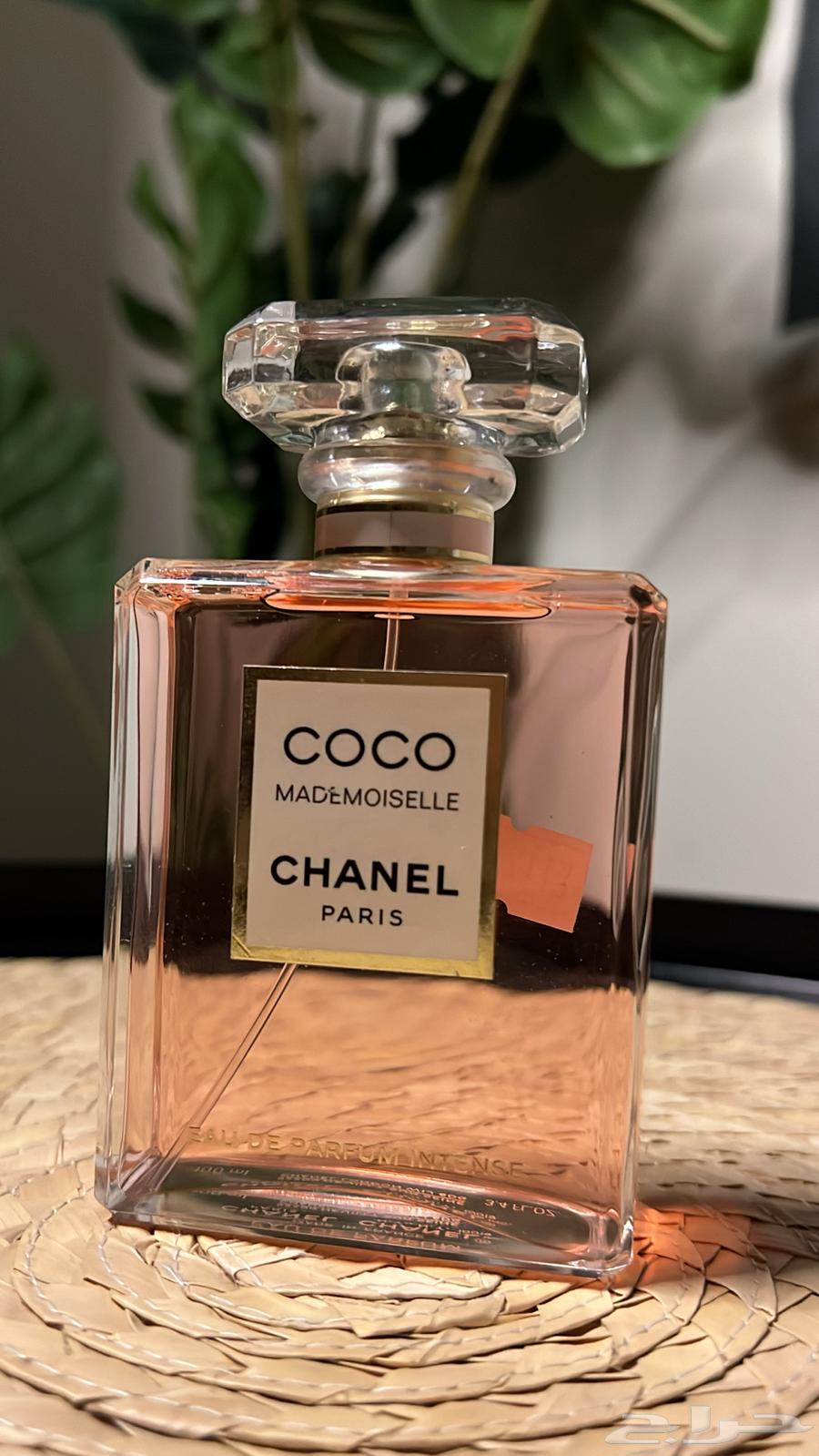 عطور شانيل و سان لوران64438847820035111