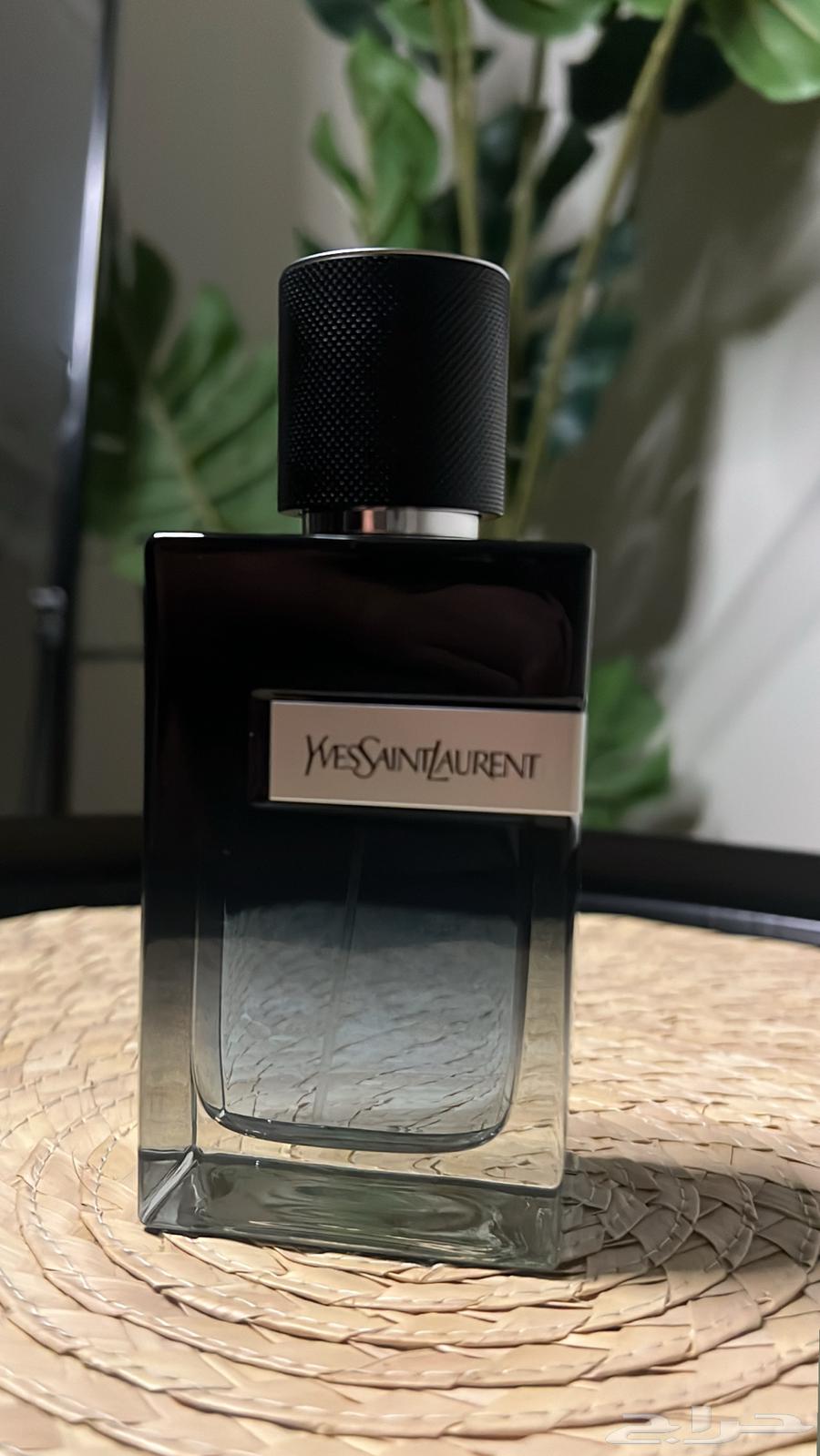 عطور شانيل و سان لوران64438847820035112