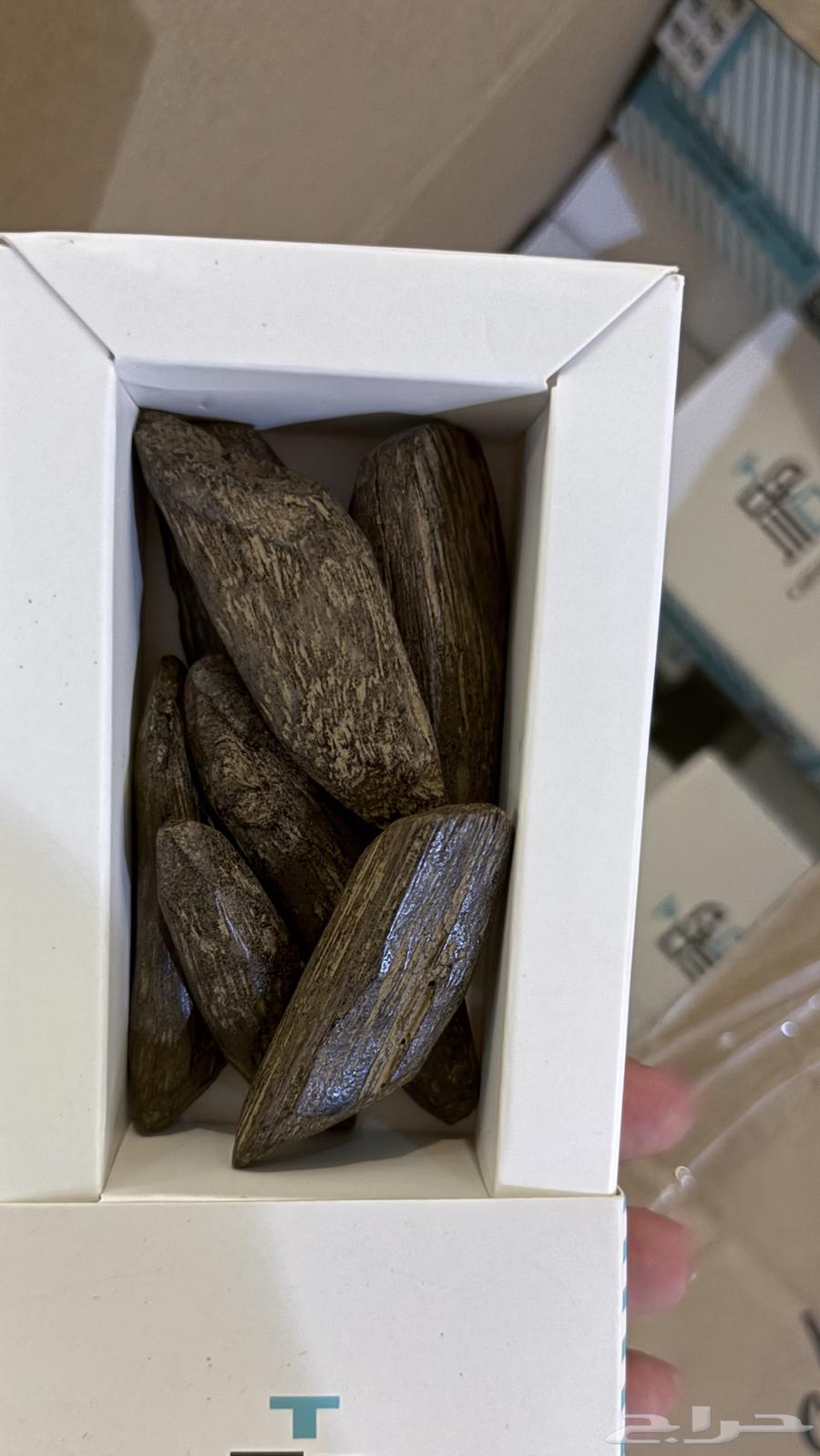 عوده بخور مروكي و كلمنتان64439389141505111