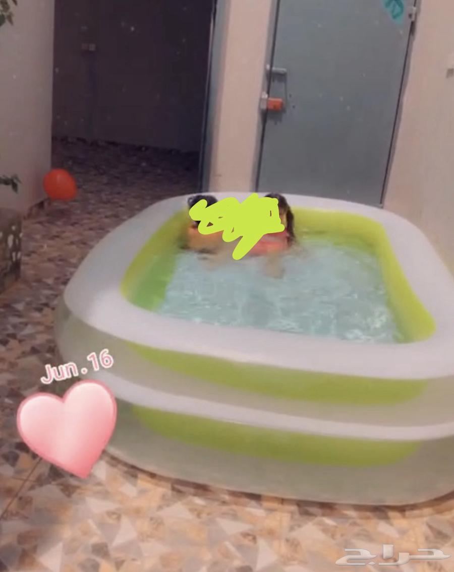 Large children's pool64441952134659110