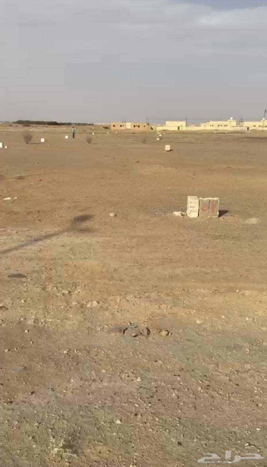 ارض للإيجار