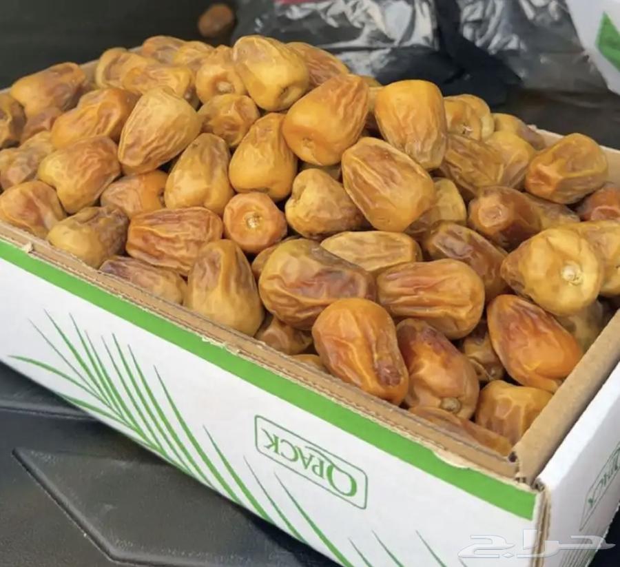 Al-Qassim Dates Premium64439185814529111