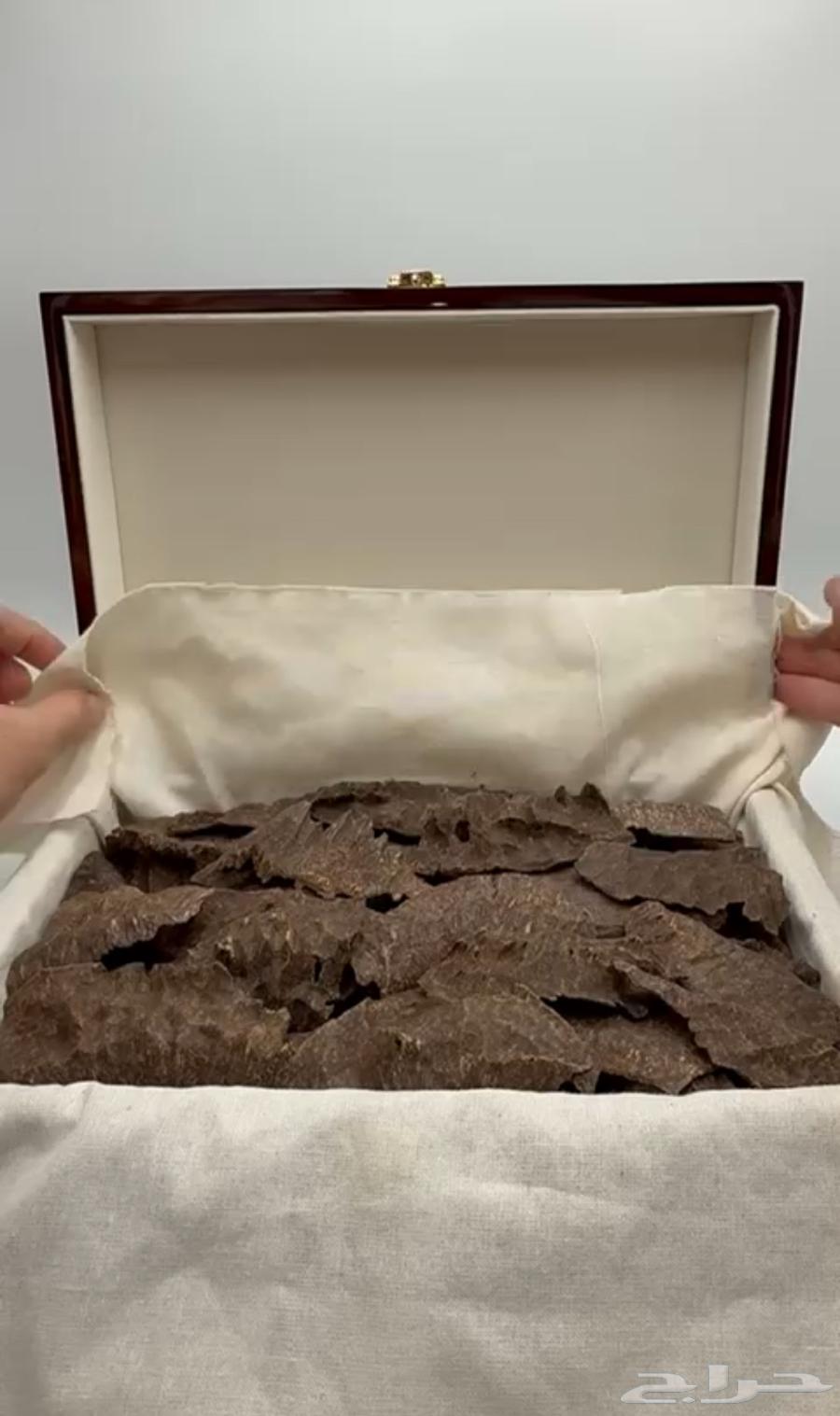 عود هندي نجلاند جار - بخور فاخر64437908303745110