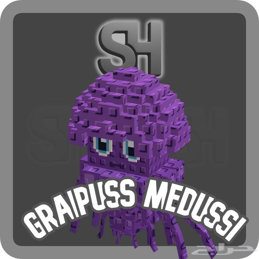 ماب السرقه Steal a brain rot64435313317507111