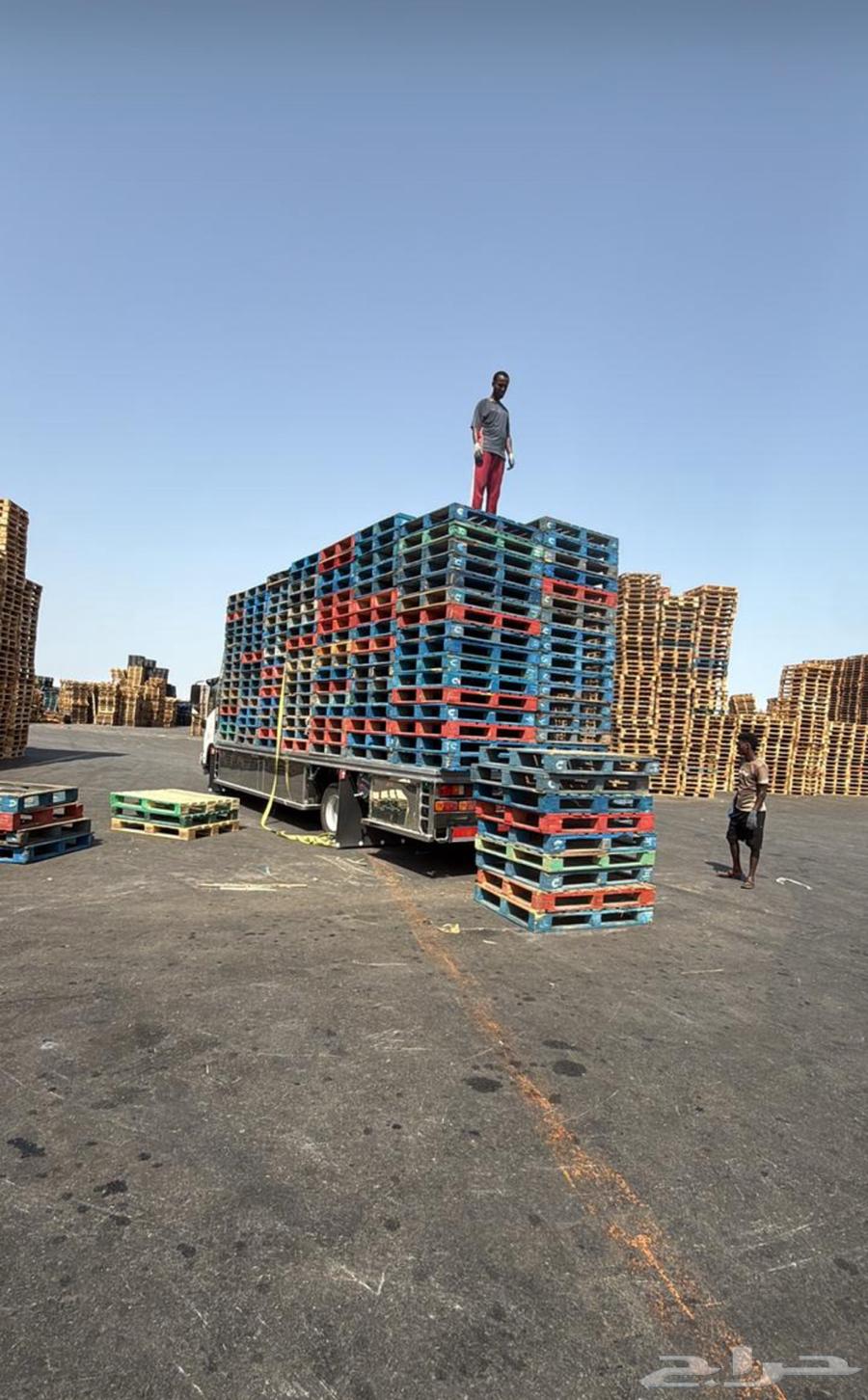 Wooden pallets of all sizes and colors64438699770115111