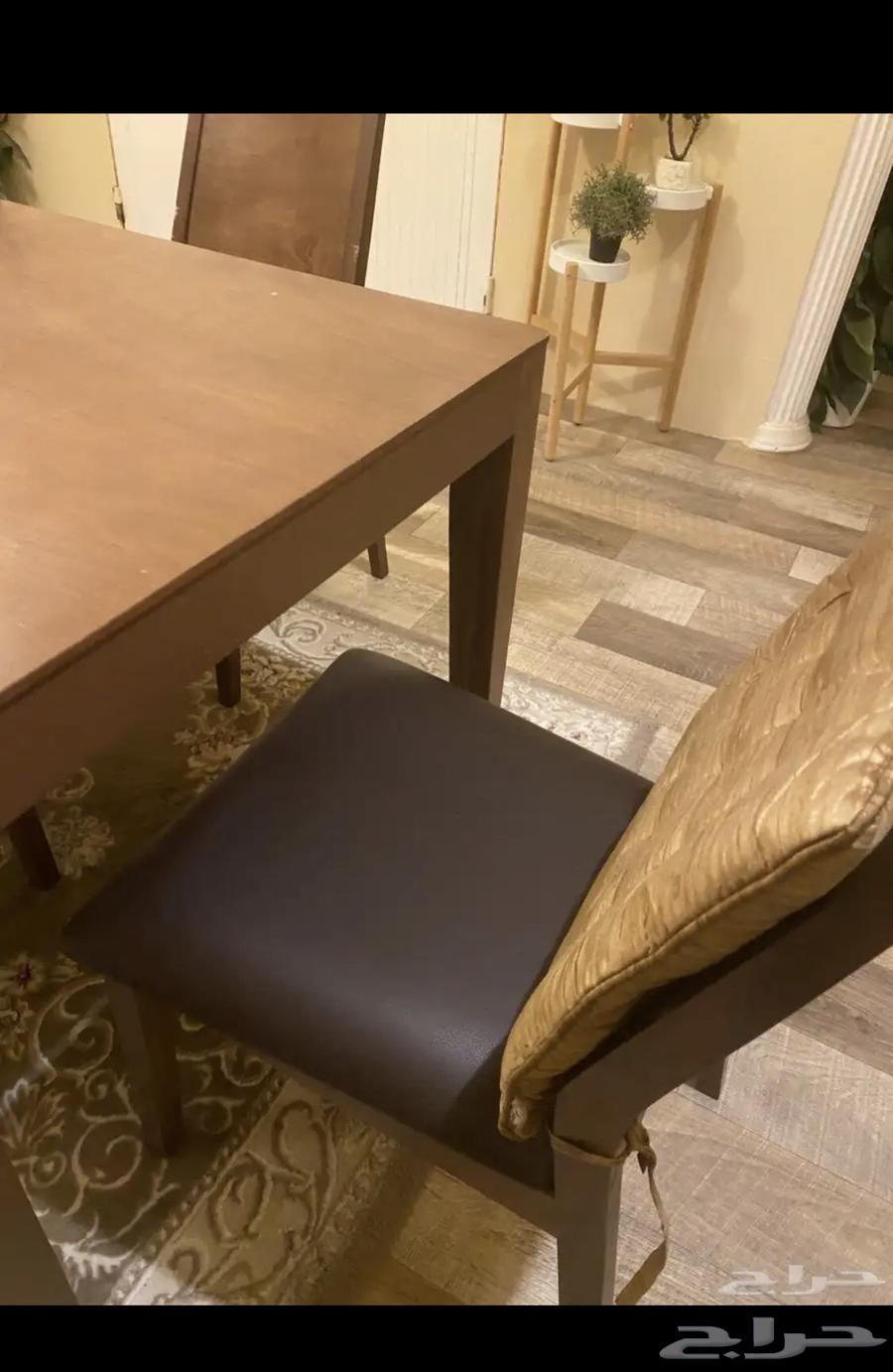 طاولة طعام64434251480835113