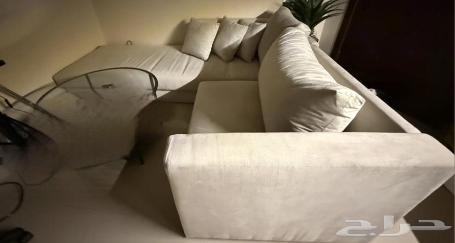 A new couch, I swear it's only six months old64441869255041111